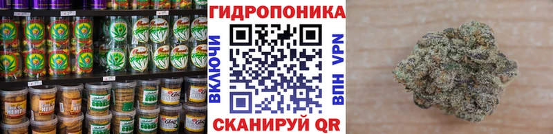 наркошоп  omg ТОР  Еда ТГК конопля  Ивантеевка 