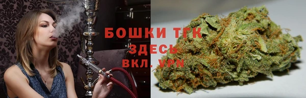 стафф Нефтекумск