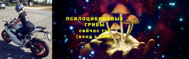 Галлюциногенные грибы MAGIC MUSHROOMS  MEGA зеркало  Ивантеевка 