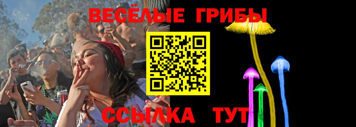 Галлюциногенные грибы мухоморы  Вход с VPN  Ивантеевка 